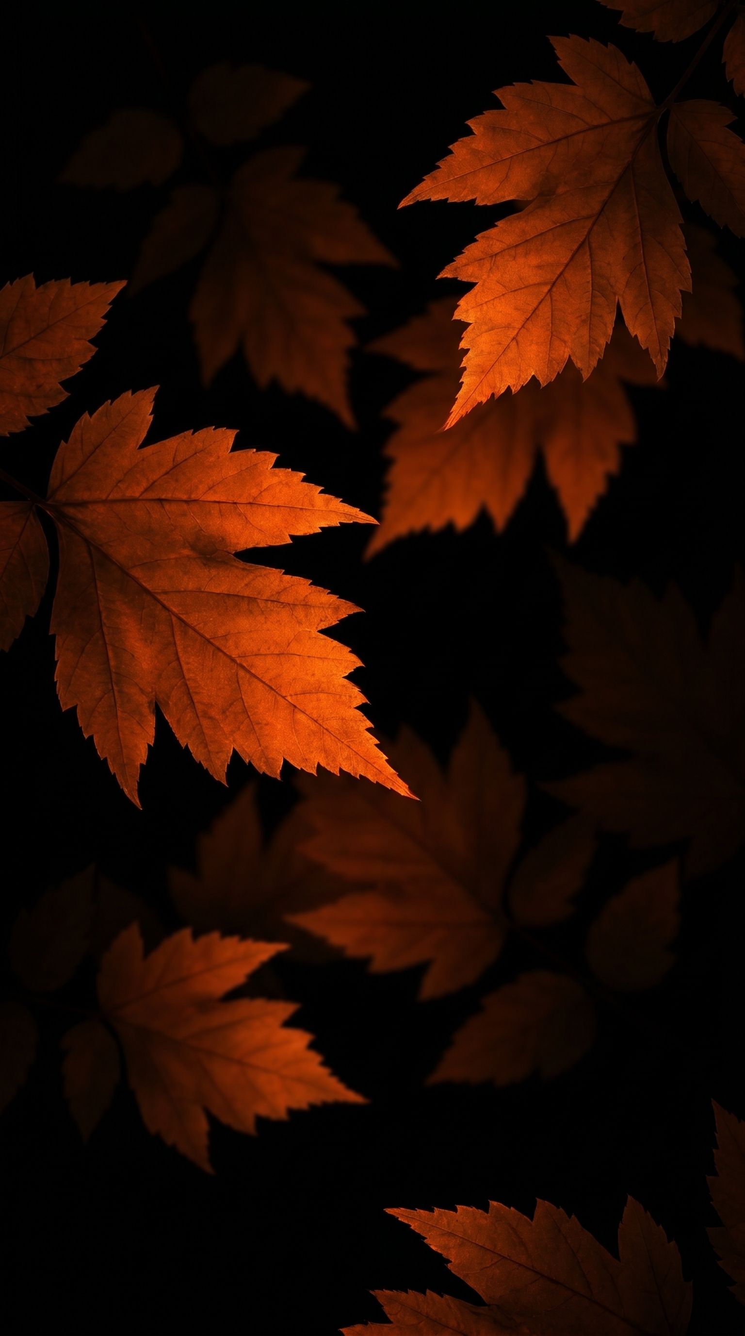 Orange Autumn Leaves Black Abyss